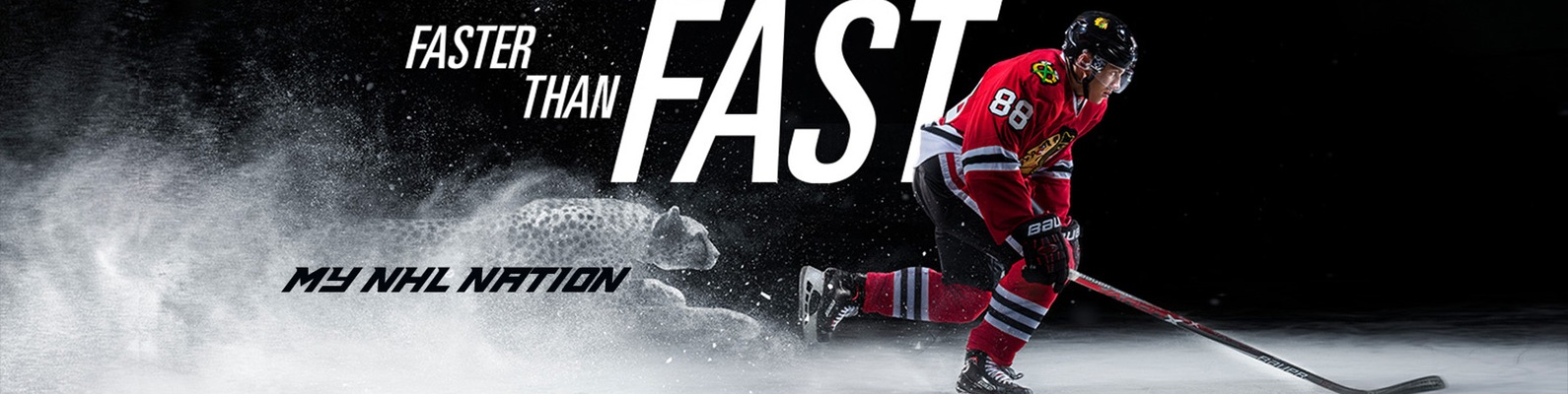 Pro Hockey Life