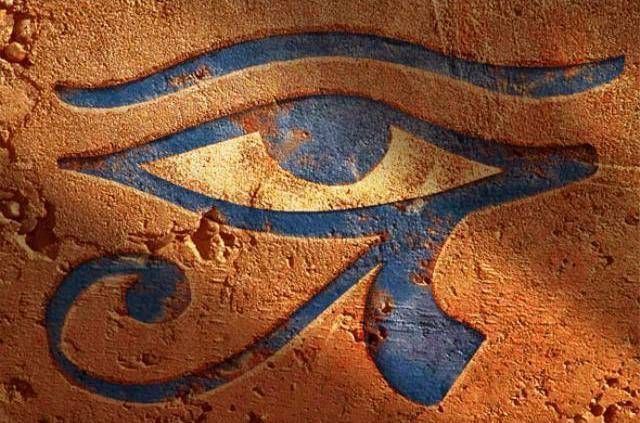 egyptian whoop bird eye