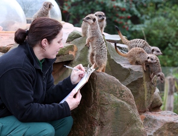 bristol zoo mysterious creature reddit