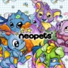 a voider neopets