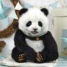 f class panda
