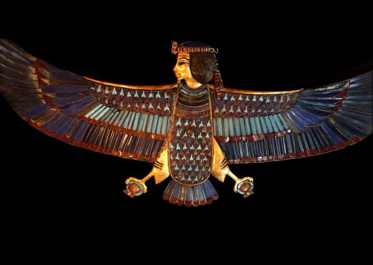 egyptian whoop bird eye