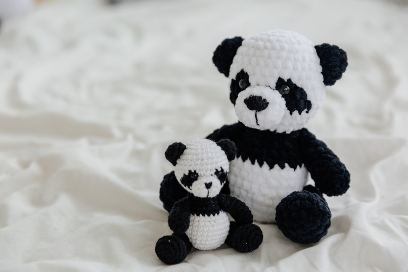 f class panda