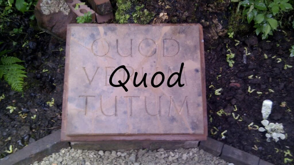 q.d.c.english abbreviation