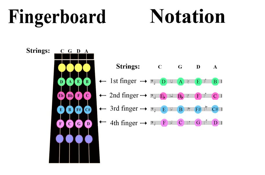 what does a studio chart for cello look like